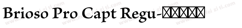Brioso Pro Capt Regu字体转换